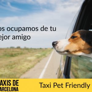 Trasladamos a tu perro en taxi