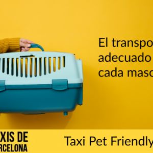 Traslado de mascotas en taxi por Barcelona
