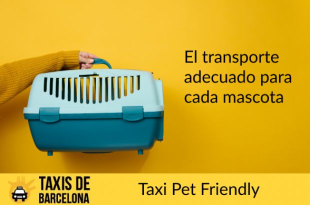 Traslado de mascotas en taxi por Barcelona
